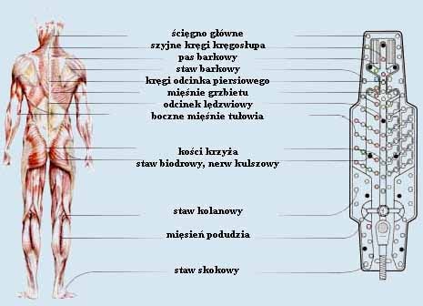 Mata ozonowa AllExclusive - poszczególne partie ciała